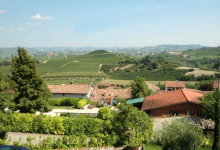 12 - La vista sui vigneti