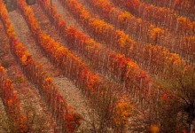 10 - I colori dell'autunno